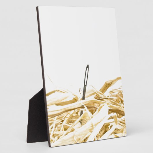 naald in een hooiberg fotoplaat (Zijkant)