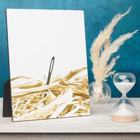 naald in een hooiberg fotoplaat (Zijkant)