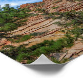 Naaldbomen groeien in Zion National Park, Utah Poster (Hoek)