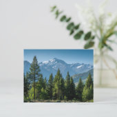 Naaldbomen met bergachtergrond briefkaart (Staand voorkant)
