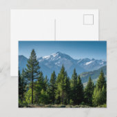 Naaldbomen met bergachtergrond briefkaart (Voorkant / Achterkant)