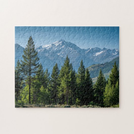 Naaldbomen met bergachtergrond legpuzzel (Horizontaal)