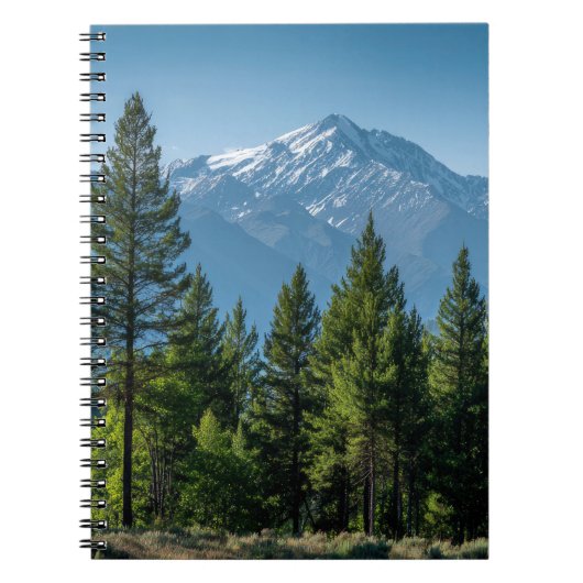 Naaldbomen met bergachtergrond notitieboek (Voorkant)