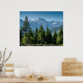 Naaldbomen met bergachtergrond poster (Keuken)