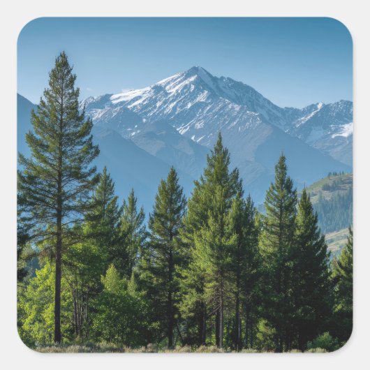 Naaldbomen met bergachtergrond vierkante sticker (Voorkant)