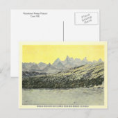  naalden Californië Briefkaart (Voorkant / Achterkant)