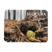 Naalden en kevers, bosgrond, Sequoia NP Magneet (Horizontaal)