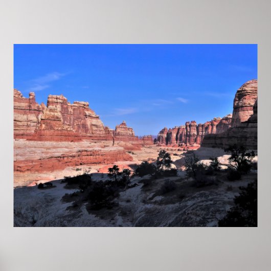 Naalden: Nationaal Park Canyonlands Poster (Voorkant)