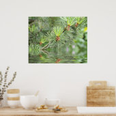naalden van dennenboom boven water poster (Keuken)