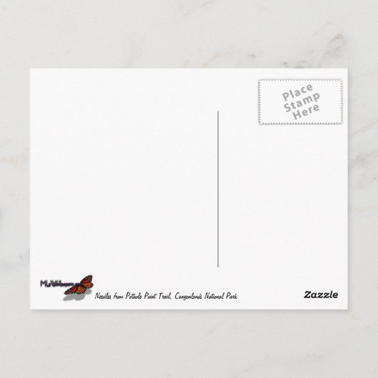 Naalden van Pothole Point Trail Briefkaart (Achterkant)