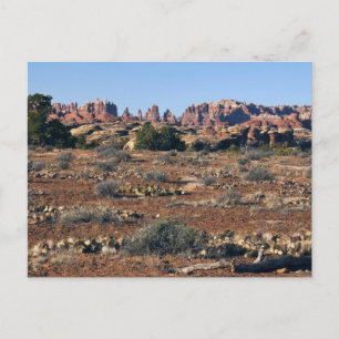 Naalden van Pothole Point Trail in Canyonlands Briefkaart