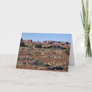 Naalden van Pothole Point Trail in Canyonlands Kaart
