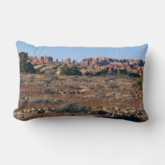 Naalden van Pothole Point Trail in Canyonlands Kussen (Voorkant)