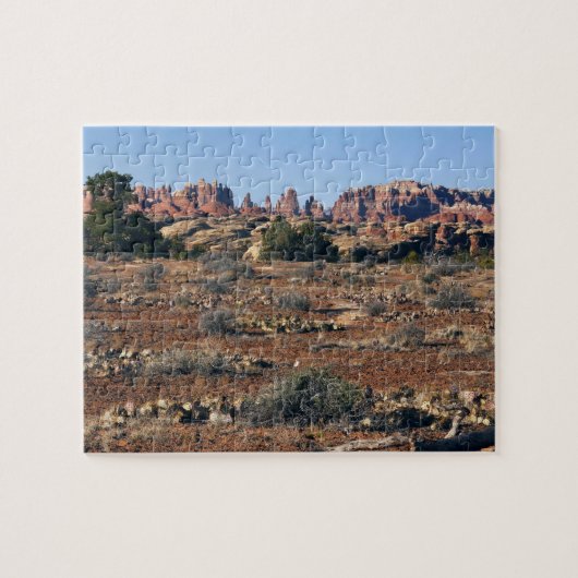 Naalden van Pothole Point Trail in Canyonlands Legpuzzel (Horizontaal)