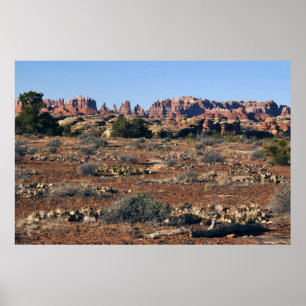 Naalden van Pothole Point Trail in Canyonlands Poster