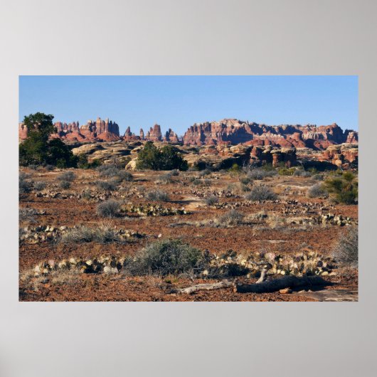 Naalden van Pothole Point Trail in Canyonlands Poster (Voorkant)