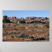 Naalden van Pothole Point Trail Poster (Voorkant)