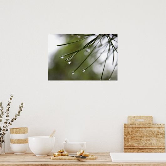 Naaldnaalden met regendruppeltjes Poster (Keuken)