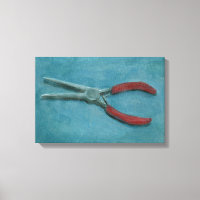 Naaldneus tang stilleven acryl schilderij