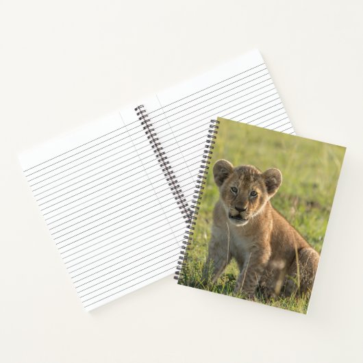 Naam Afrikaanse leeuwenkeub-spiraal personaliseren Notitieboek (Binnen)