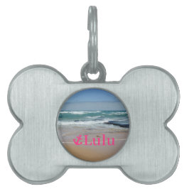 Naam Beach Nautical Pink Anchor Pet Tag Huisdieren Naamplaatje