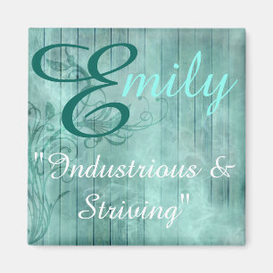 Naam Betekenis Magnet, Emily Magneet