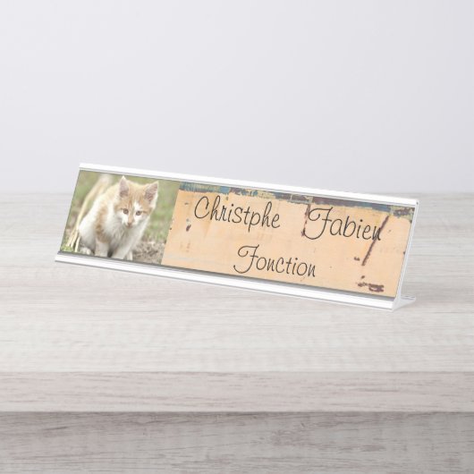 Naam borden katten. bureau naambordje (Voorkant)