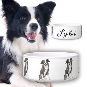 Naam Border Collie Tekening Hond Voerbakje