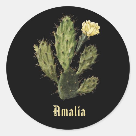 Naam Cactus Flower  Drawing Black Sticker (Voorkant)