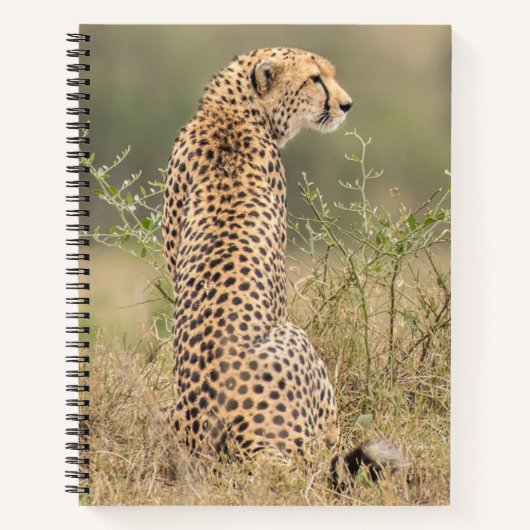 Naam Cheetah Spiral Notitieboek personaliseren (Voorkant)