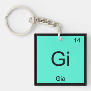 Naam Chemie Element Periodiek Systeem Sleutelhanger