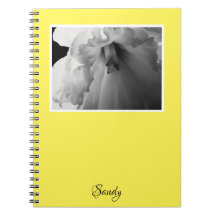 Naam Daffodil Black en White Photography