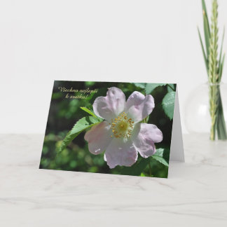 Naam Dagkaart in het Tsjechisch Kaart