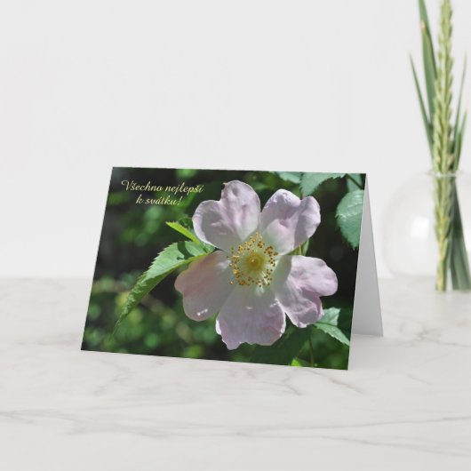Naam Dagkaart in het Tsjechisch Kaart (Voorkant)