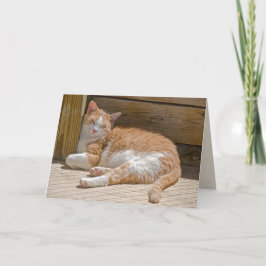 Naam Day Tabby Cat Nap Kaart