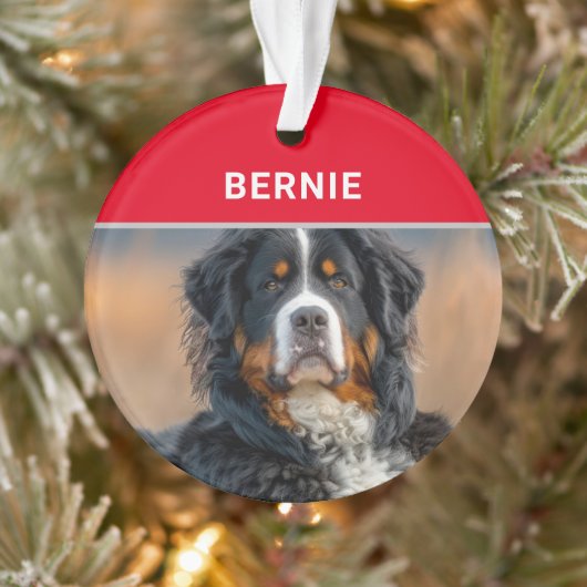 Naam en foto van Berner Sennenhond Kerstmis Ornament (Boom)
