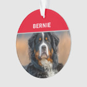 Naam en foto van Berner Sennenhond Kerstmis Ornament (voorkant)