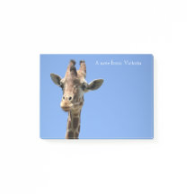 Naam Giraffe Blue Cute