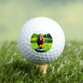 Naam/ Initiaal Rode Staart Havik Golfballen (Insitu Shirt)