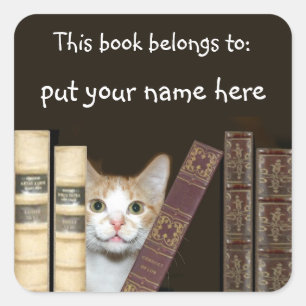 Naam kat en boek vierkante sticker