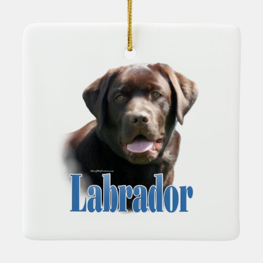 Naam labrador Retriever (chocolade) Keramisch Ornament (Achterkant)