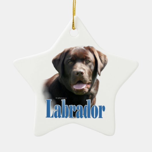 Naam labrador Retriever (chocolade) Keramisch Ornament (Voorkant)