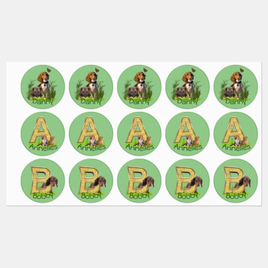 Naam Lijsten Labels (Vel)