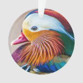 Naam Mandarin Duck Monogram Ornament (voorkant)