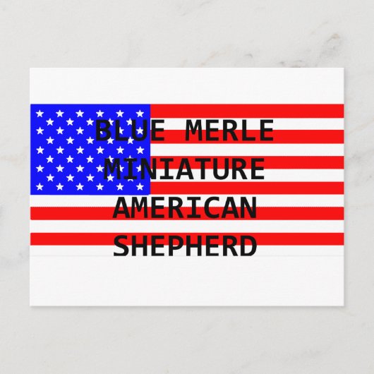 naam mini aussie op vlag blauwe merle briefkaart (Voorkant)