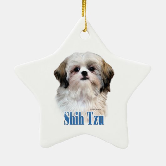 Naam Shih Tzu Keramisch Ornament (Achterkant)