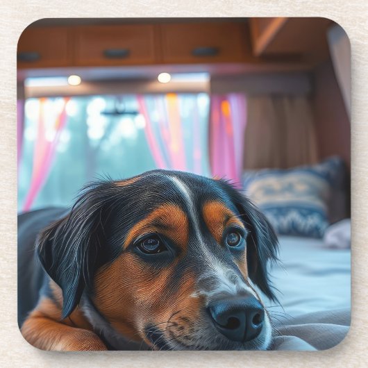 Naam: Slaap Honden Dromen Bier Onderzetter (Voorkant)
