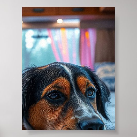 Naam: Slaap Honden Dromen Poster (Voorkant)