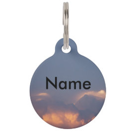  naam, telefoon, straat, stad, plaatje huisdierpenning