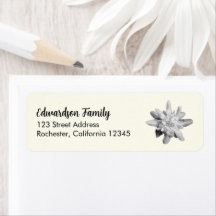Naam van de familie Edelweiss-bloem retouradres